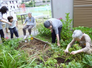 写真31