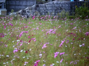 写真40