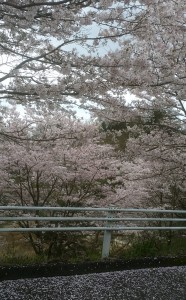 写真64