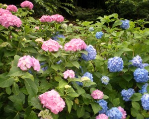 写真78