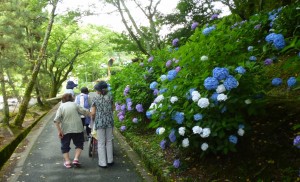 写真79