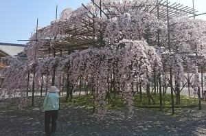 写真170
