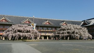 写真171