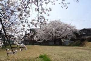 写真172