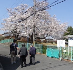 写真173