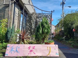 写真241