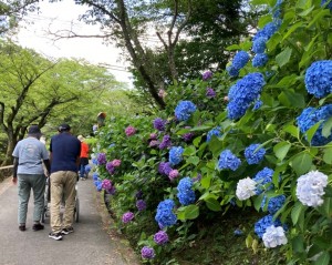 写真271