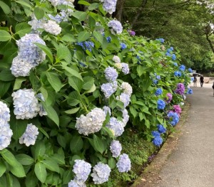 写真273