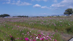 写真301