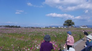 写真300