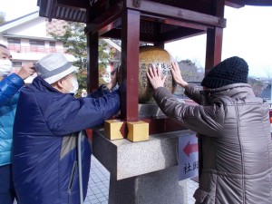 IMG_8146